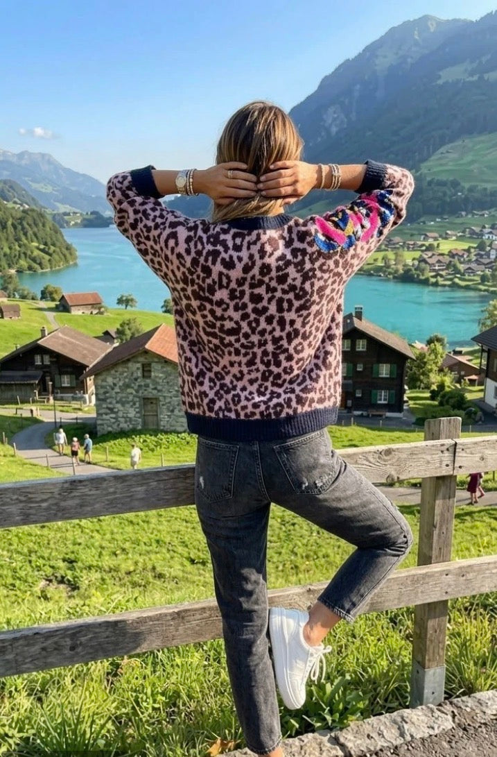 Zena Leopard Print Sequin Jumper