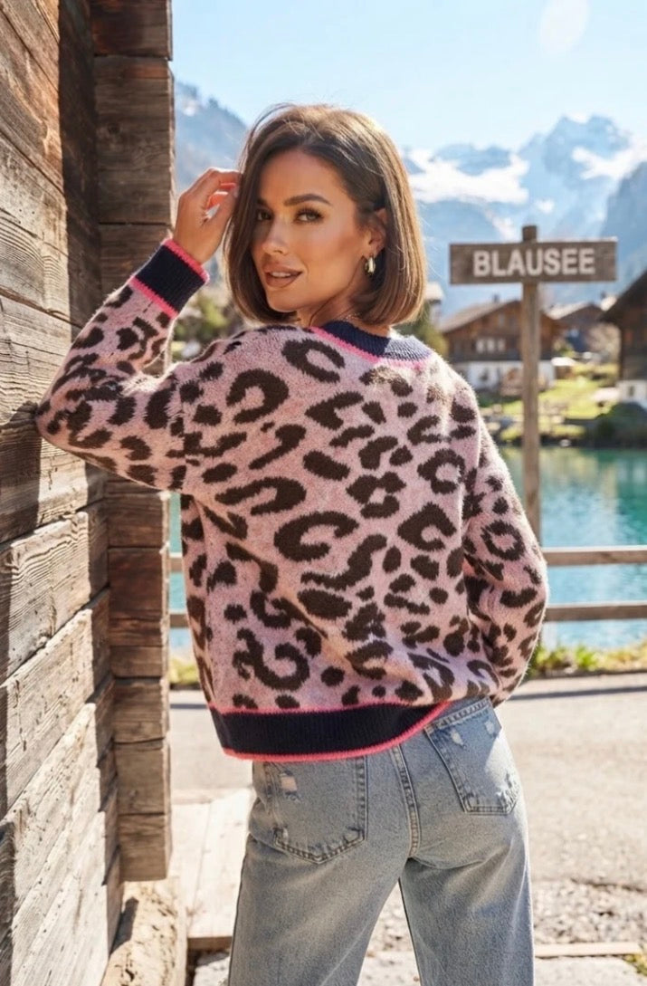 Luna Leopard Print V Neck Jumper