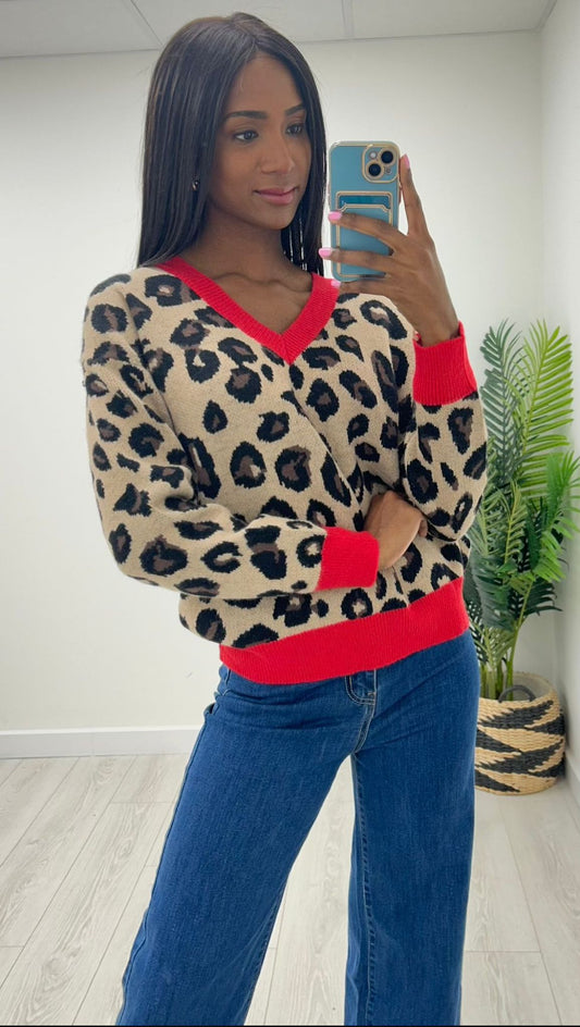 Luna Leopard Print Jumper